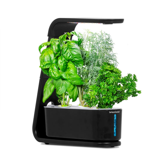 AeroGarden Sprout - Indoor Garden with LED Grow Light, Black